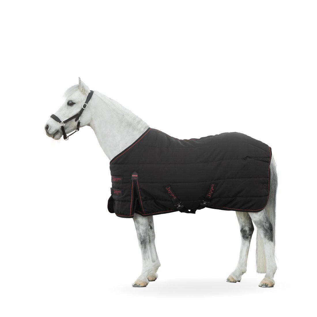 Stalltäcke, 75-165 cm, Lippo Supreme