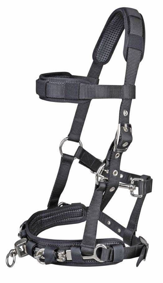 Kapson, ponny-full, HKM