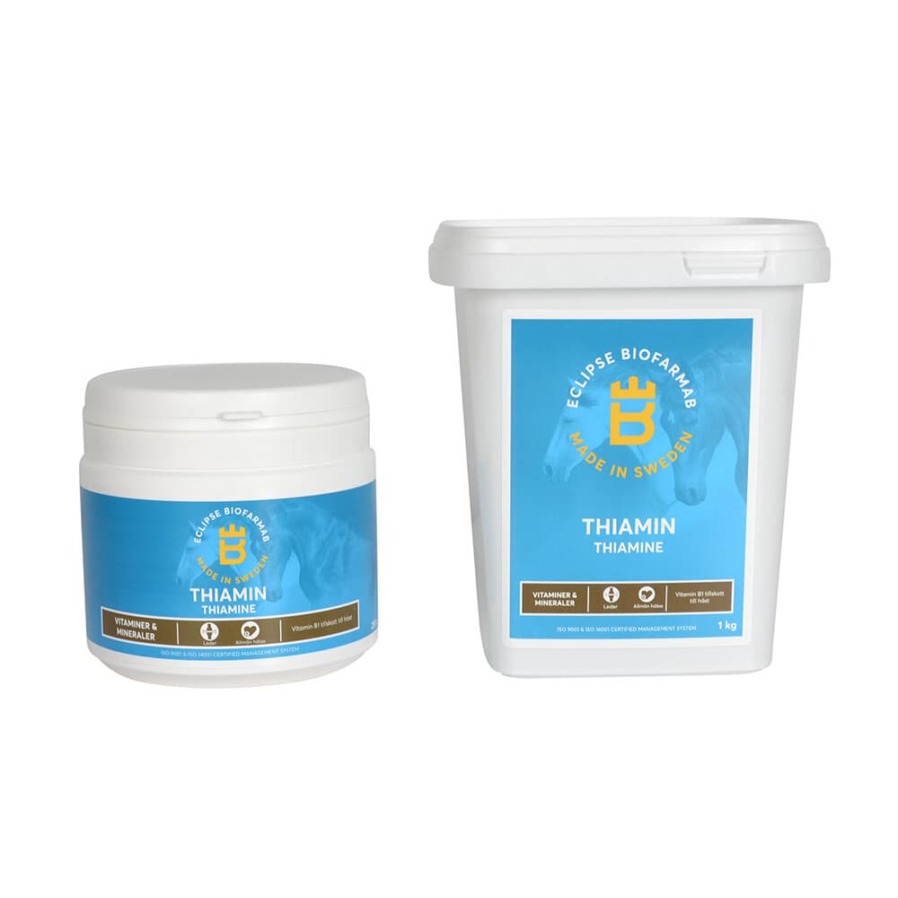 Thiamin, Eclipse Biofarmab