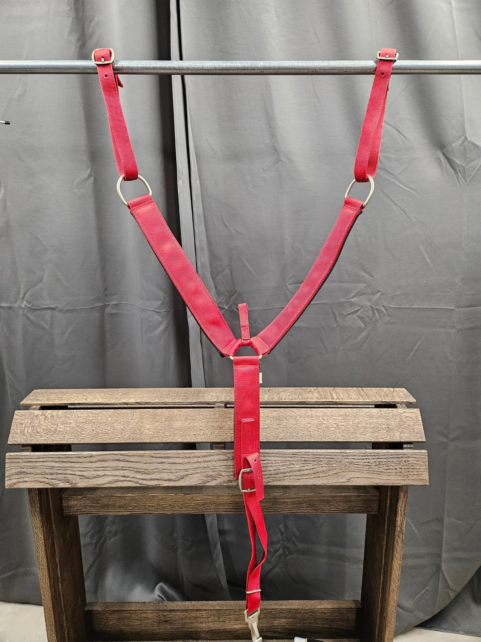 Westernbrösta, full