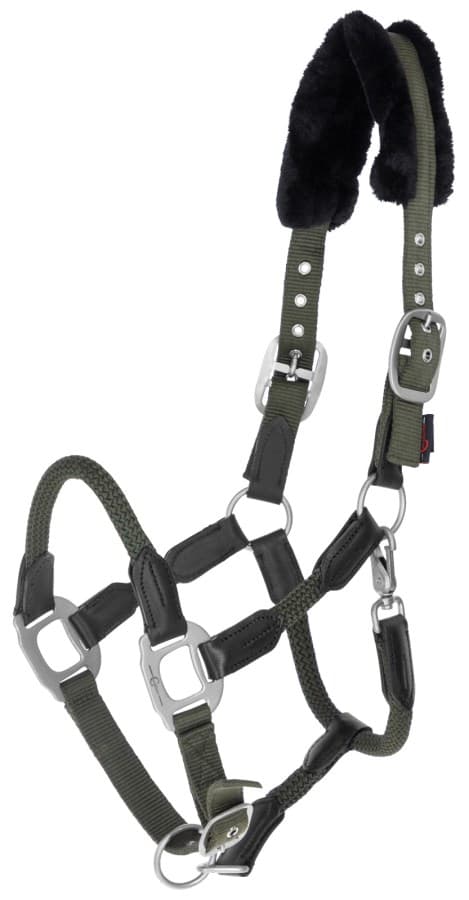 Nylongrimma, ponny-full, Covalliero Cordano