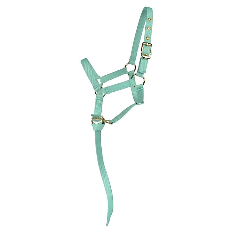 Nylongrimma, föl, Hansbo Sport