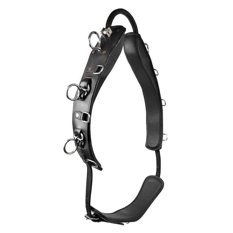 Tömkörningsgjord, full, Hansbo Sport