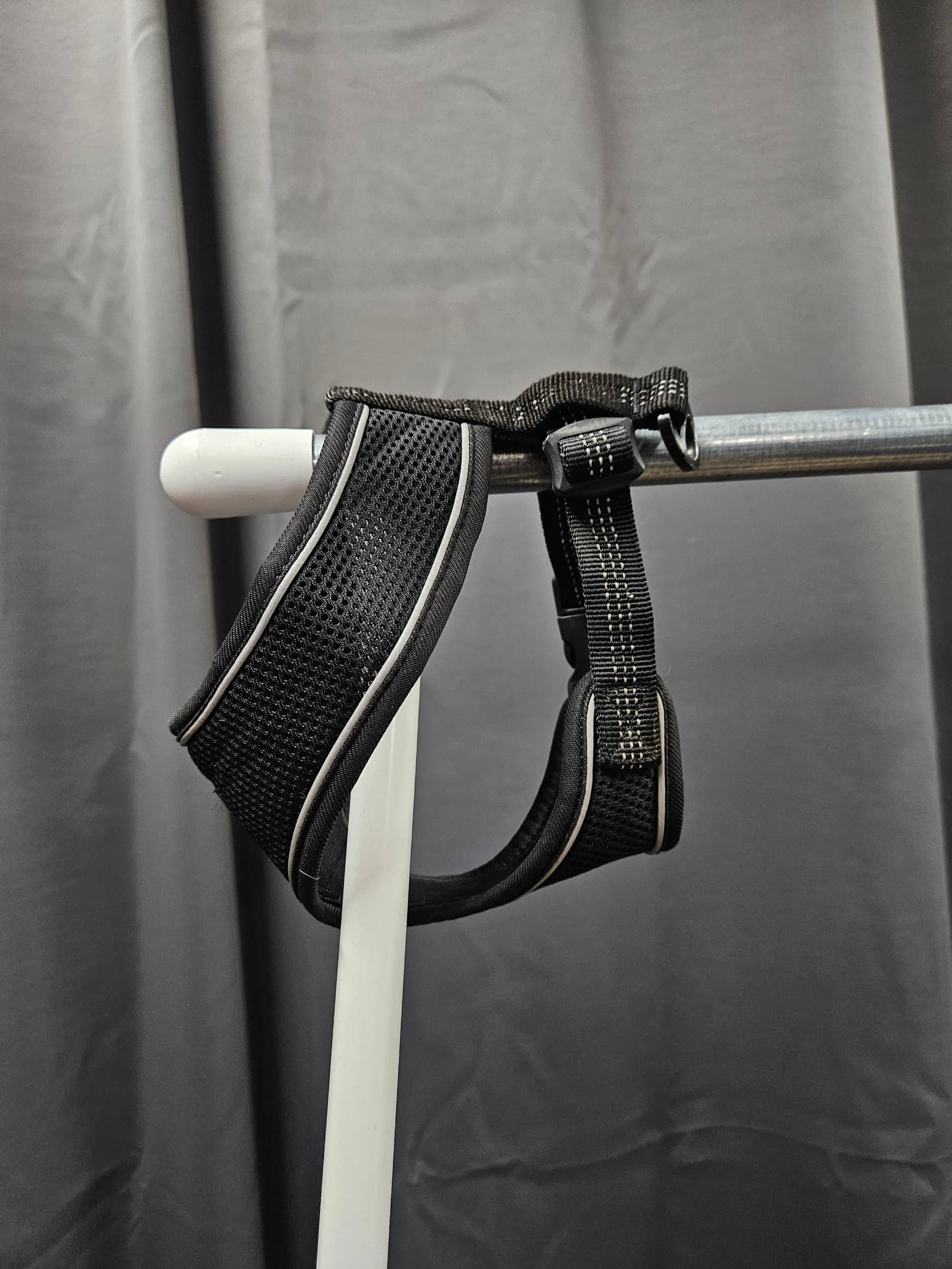 Hundsele, M, Feel Active