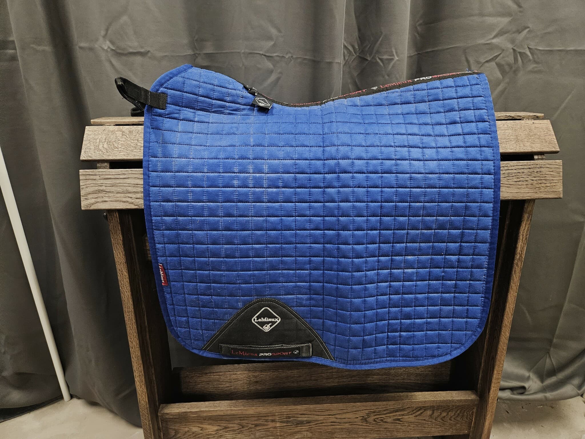 Schabrak, full, LeMieux