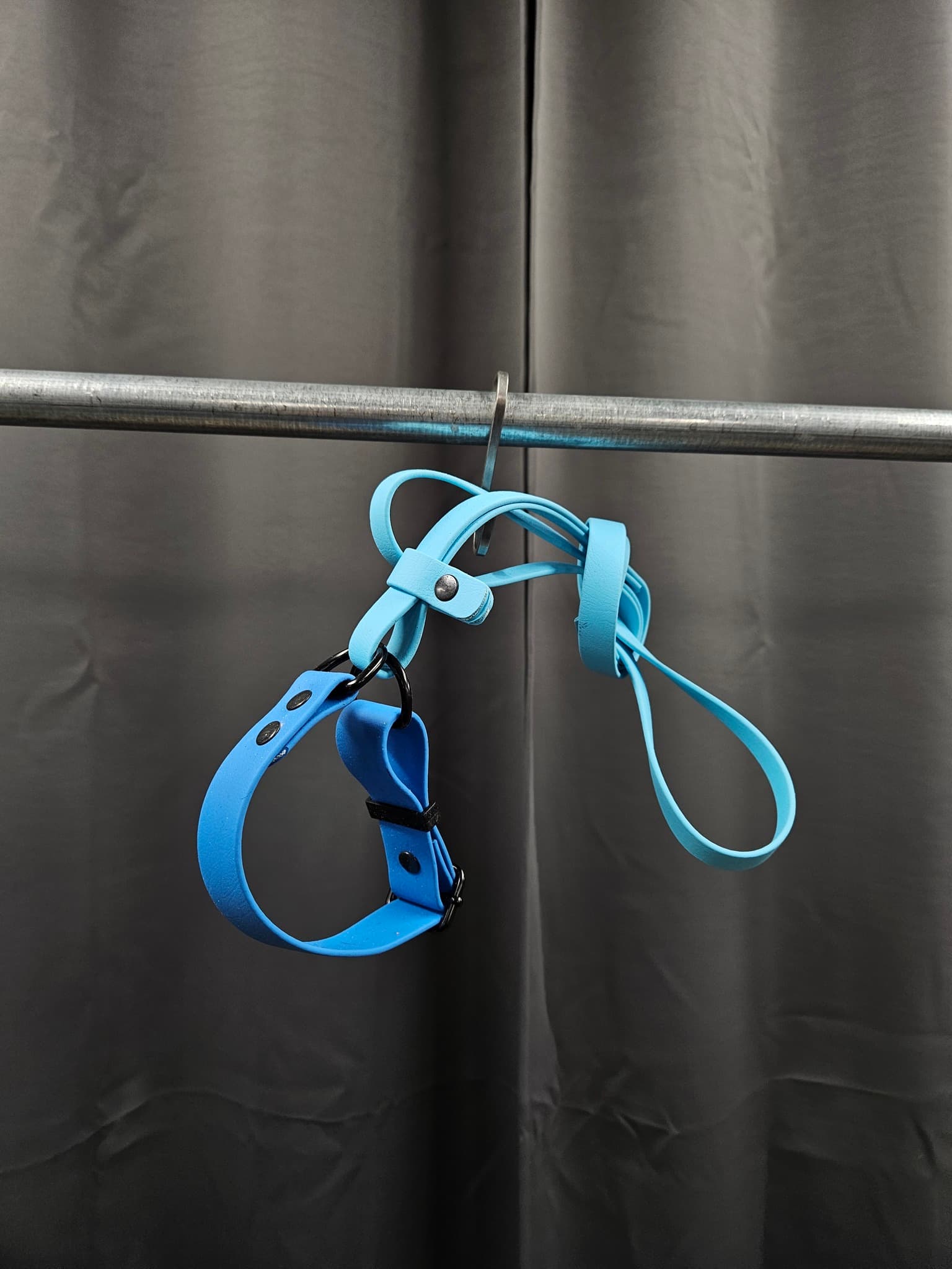 Halsband + koppel, 31 cm