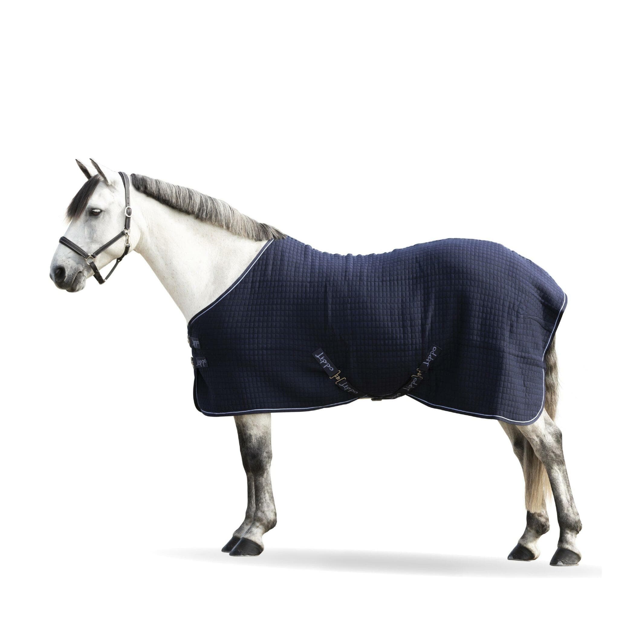 Svettäcke, 115-165 cm, Lippo