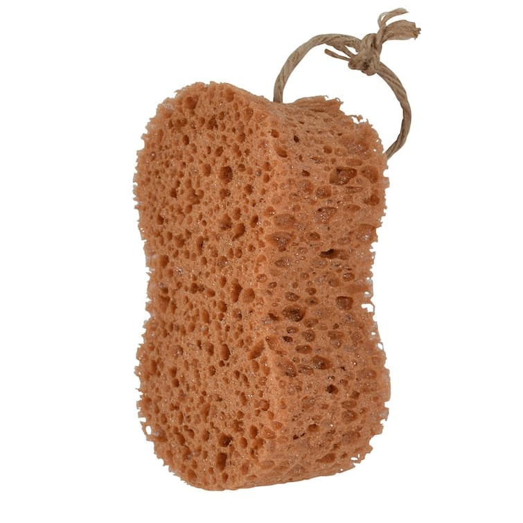 Groomingsvamp, Borstiq Farm