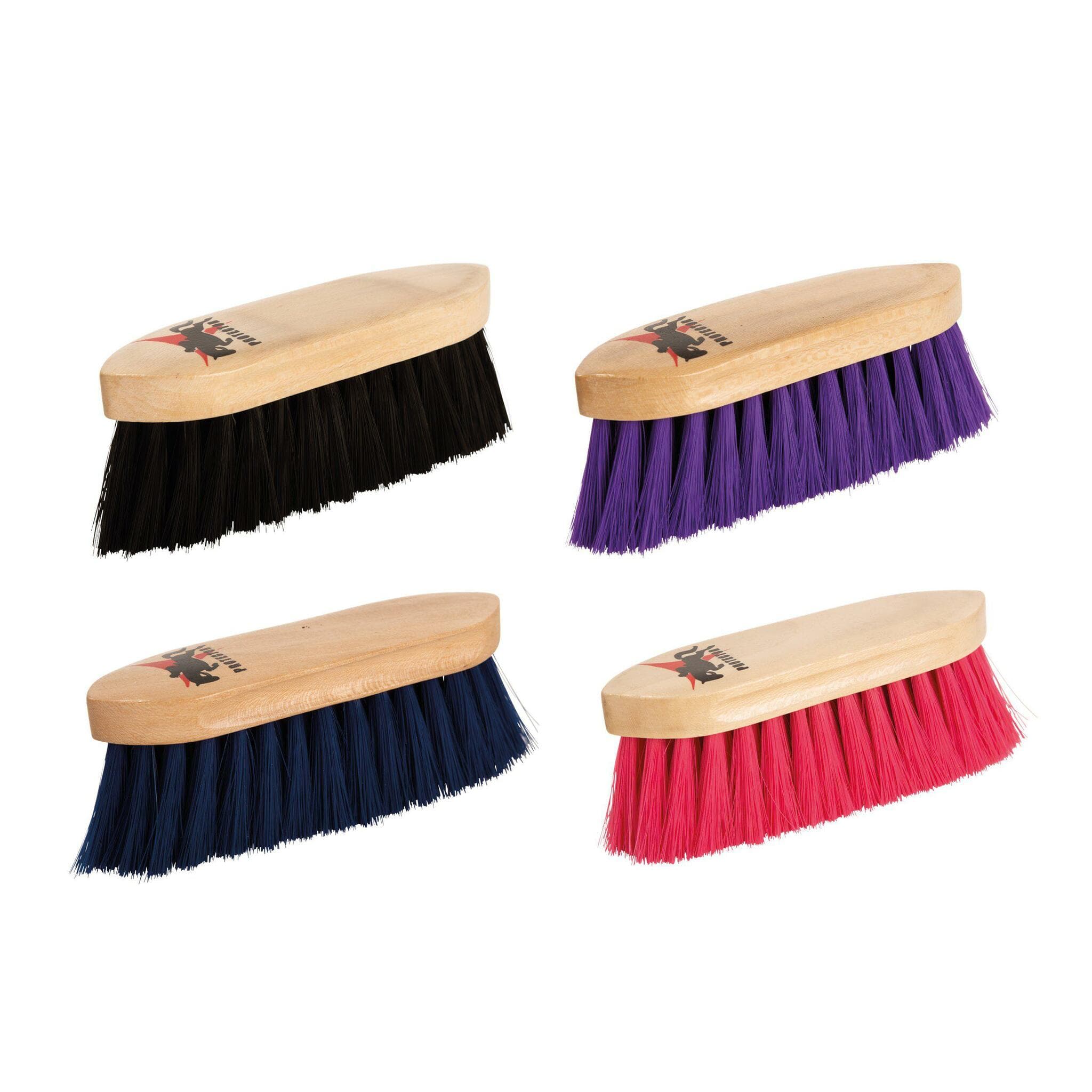 Dandyborste, Protector