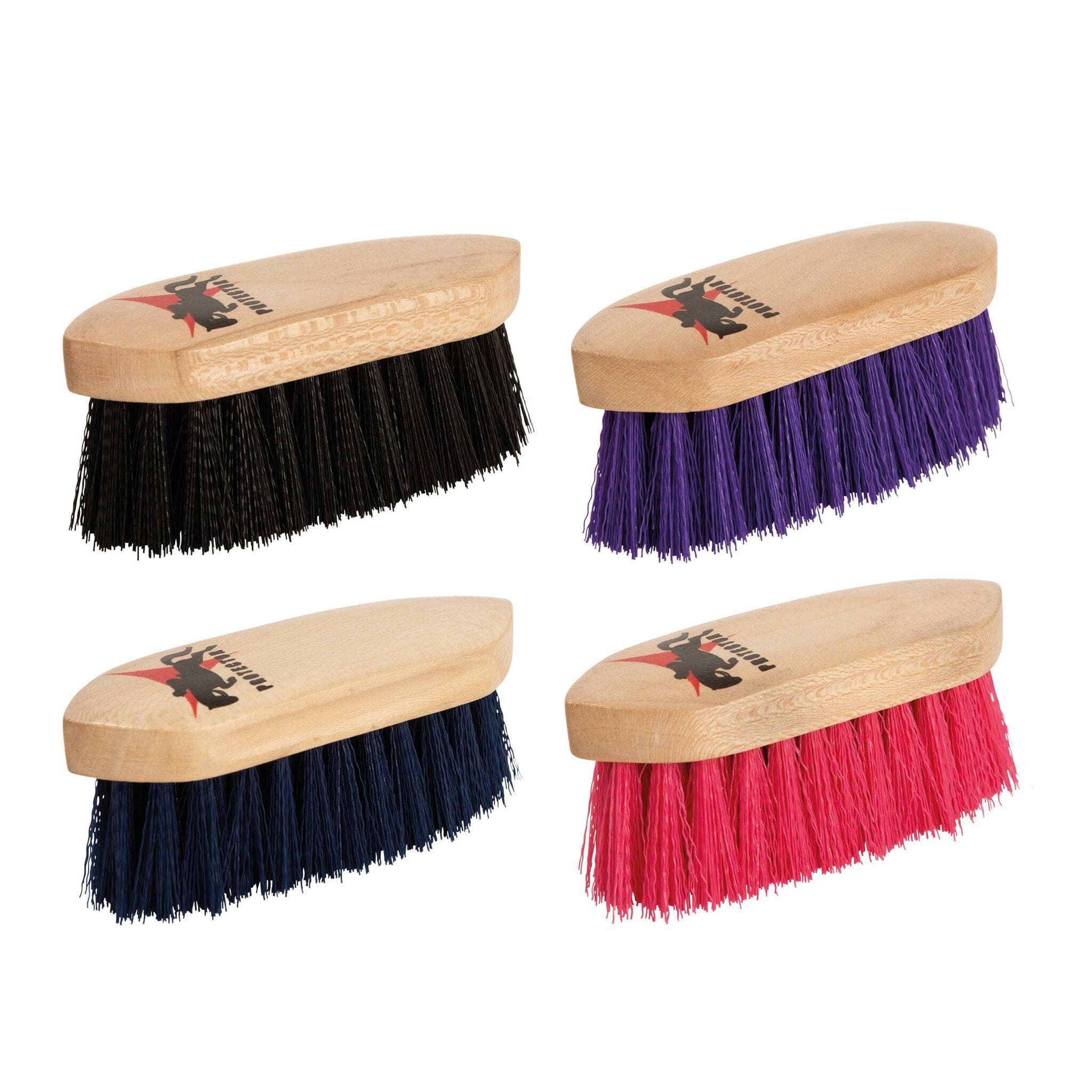 Dandyborste, Protector