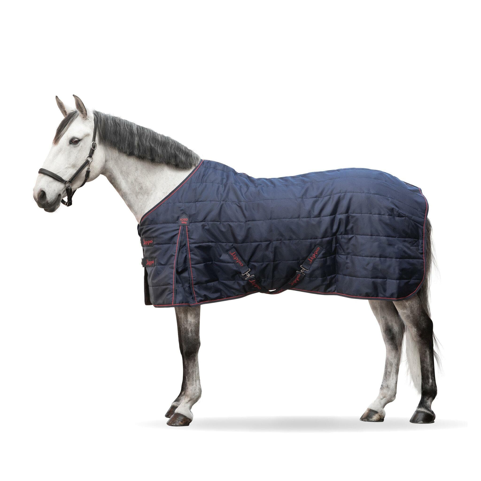 Stalltäcke, 115-165 cm, Lippo Basic