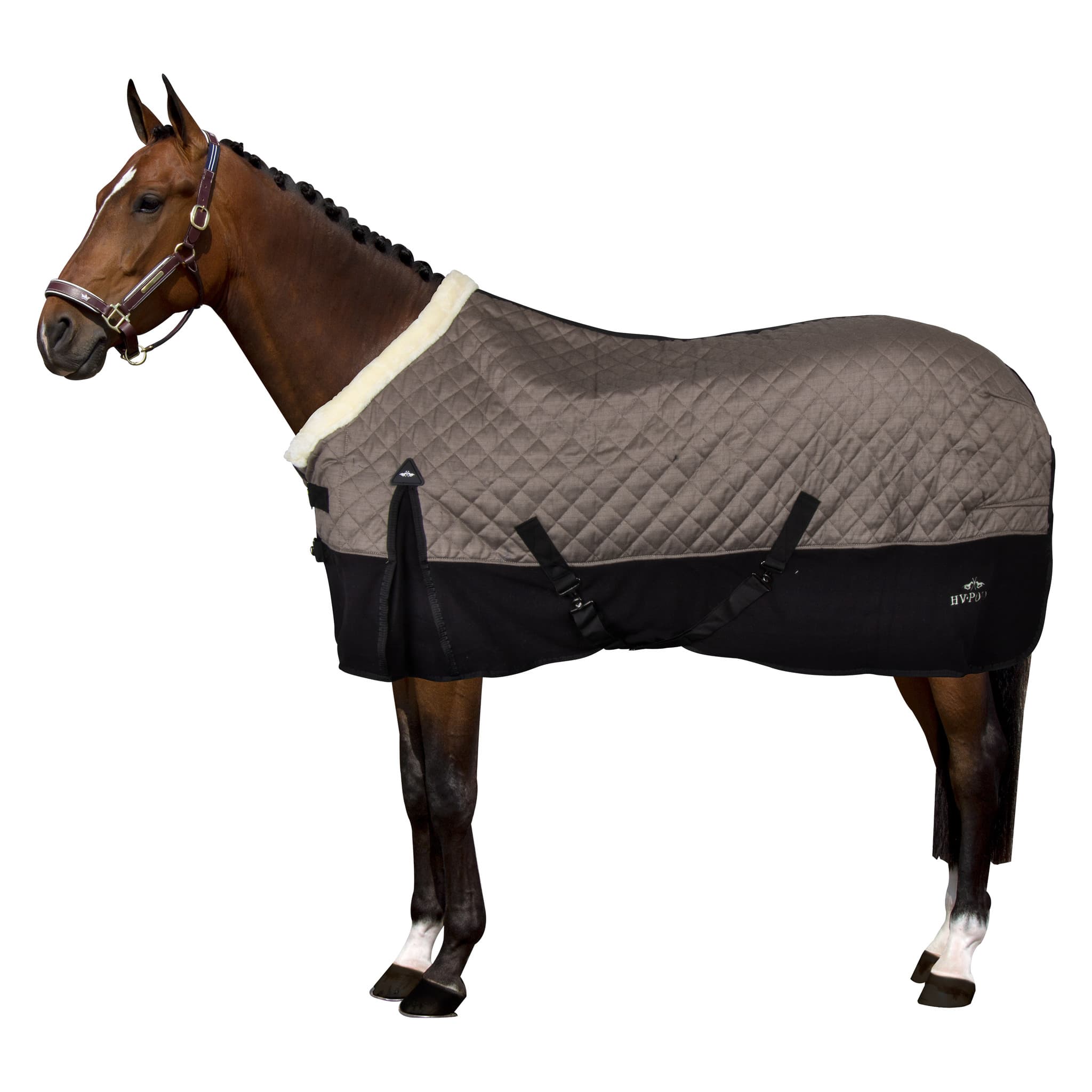 Stalltäcke, 125 cm, HV Polo Francis