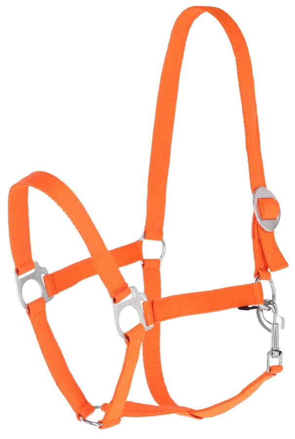 Nylongrimma, föl-xfull, Covalliero Hippo