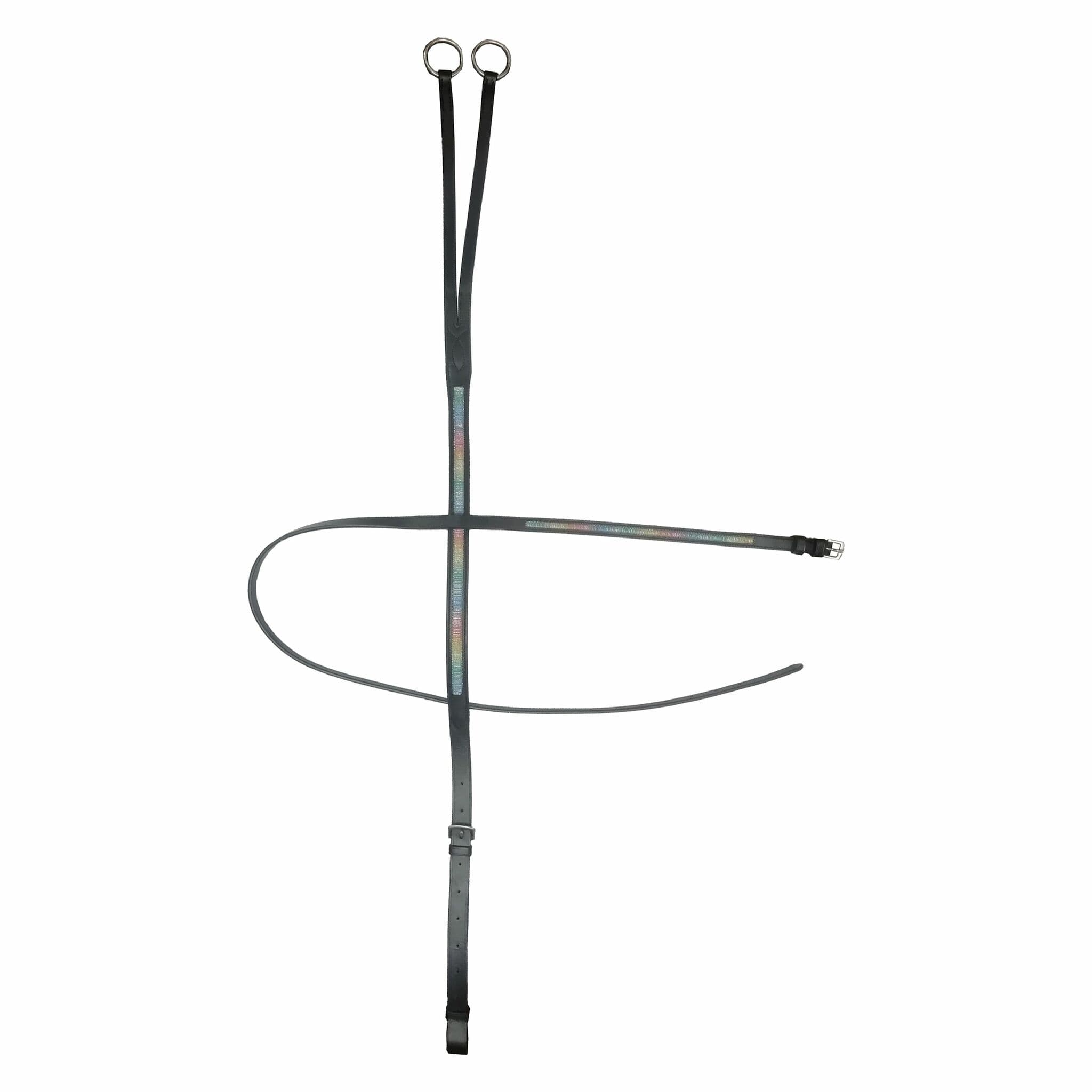 Martingal, shetland, IR Rainbow