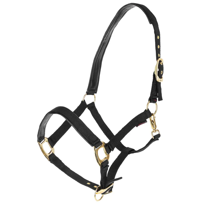Nylongrimma TopLine | Ponny-XF