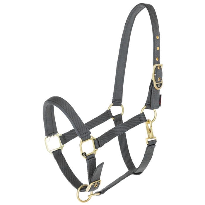 Nylongrimma Classy | Shetland-Full