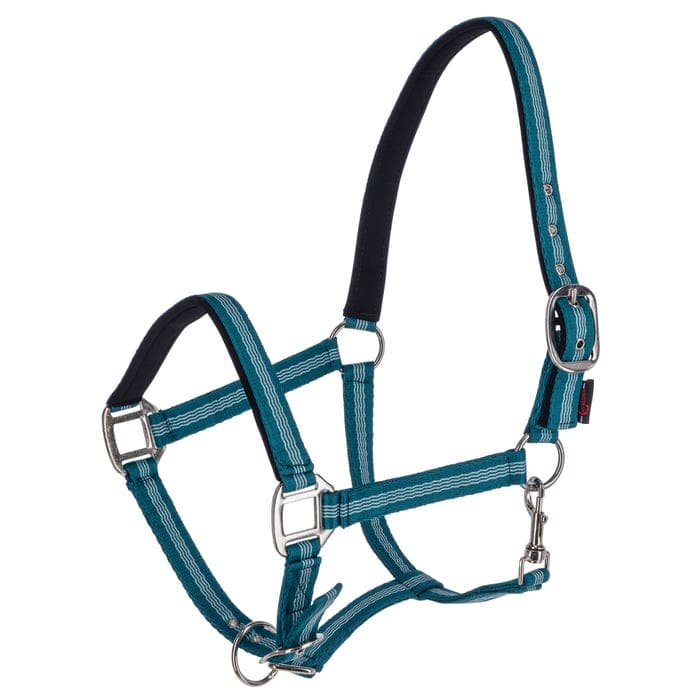 Nylongrimma Mustang | Ponny-XXF