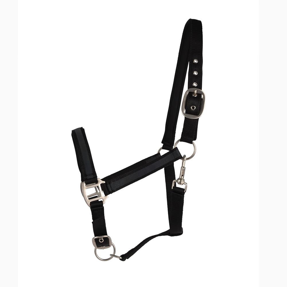 Nylongrimma Reflex | Ponny-Full