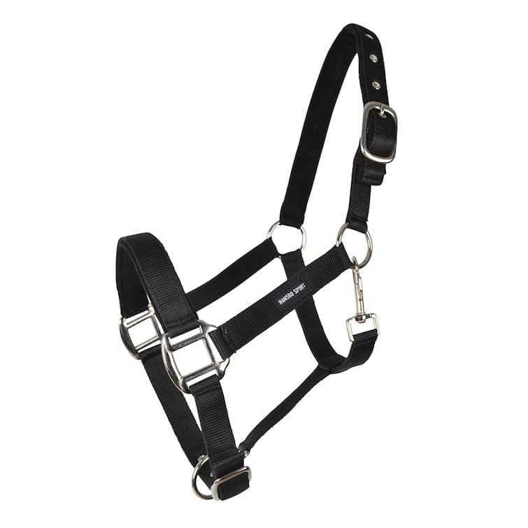 Nylongrimma PP | Mini-XXF