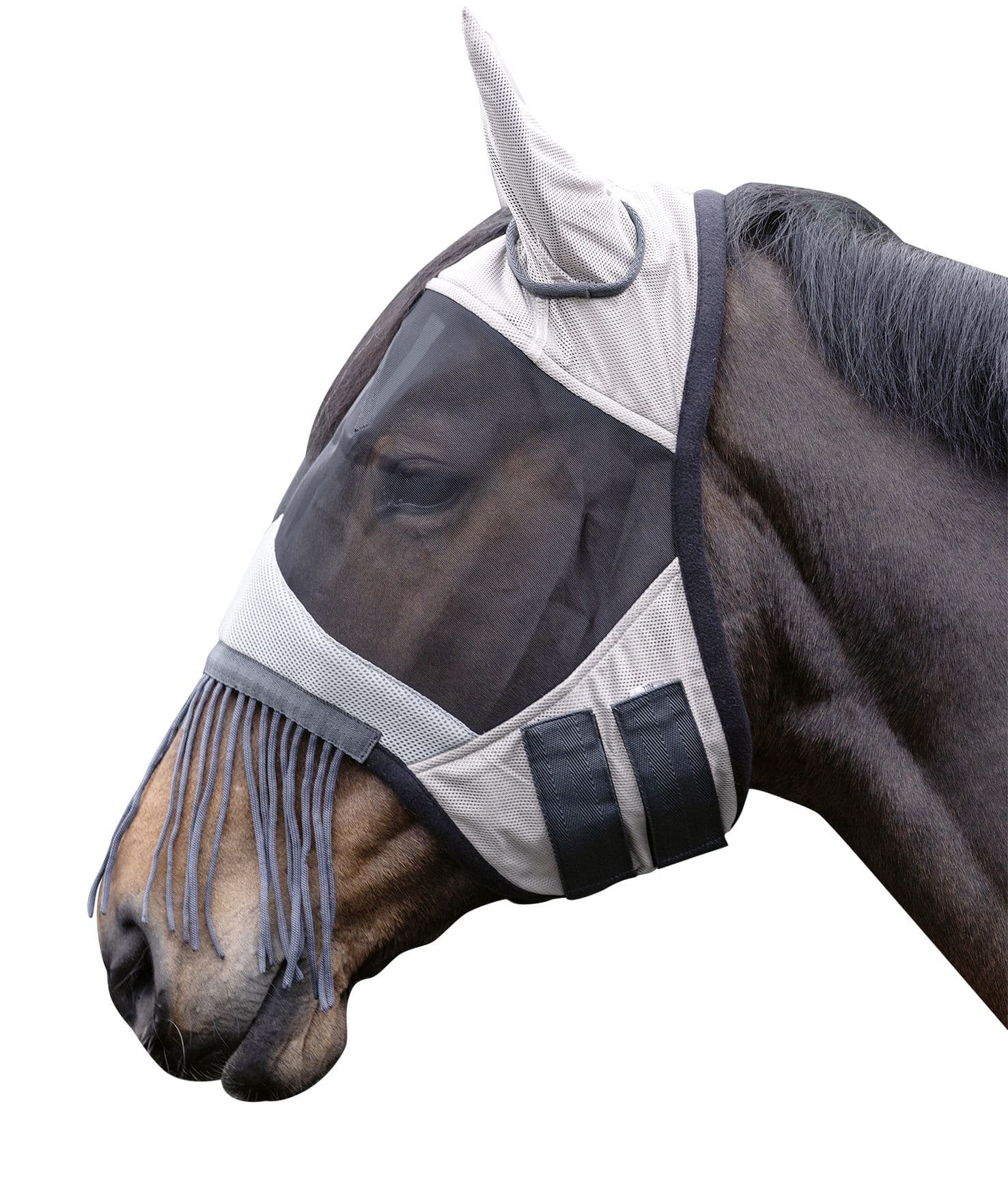 Flughuva Fringes | Ponny-Full