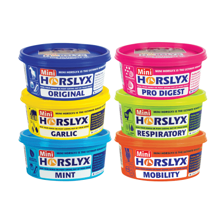 Slicksten, 650g, Horslyx