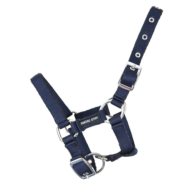 Nylongrimma, föl, Hansbo Sport