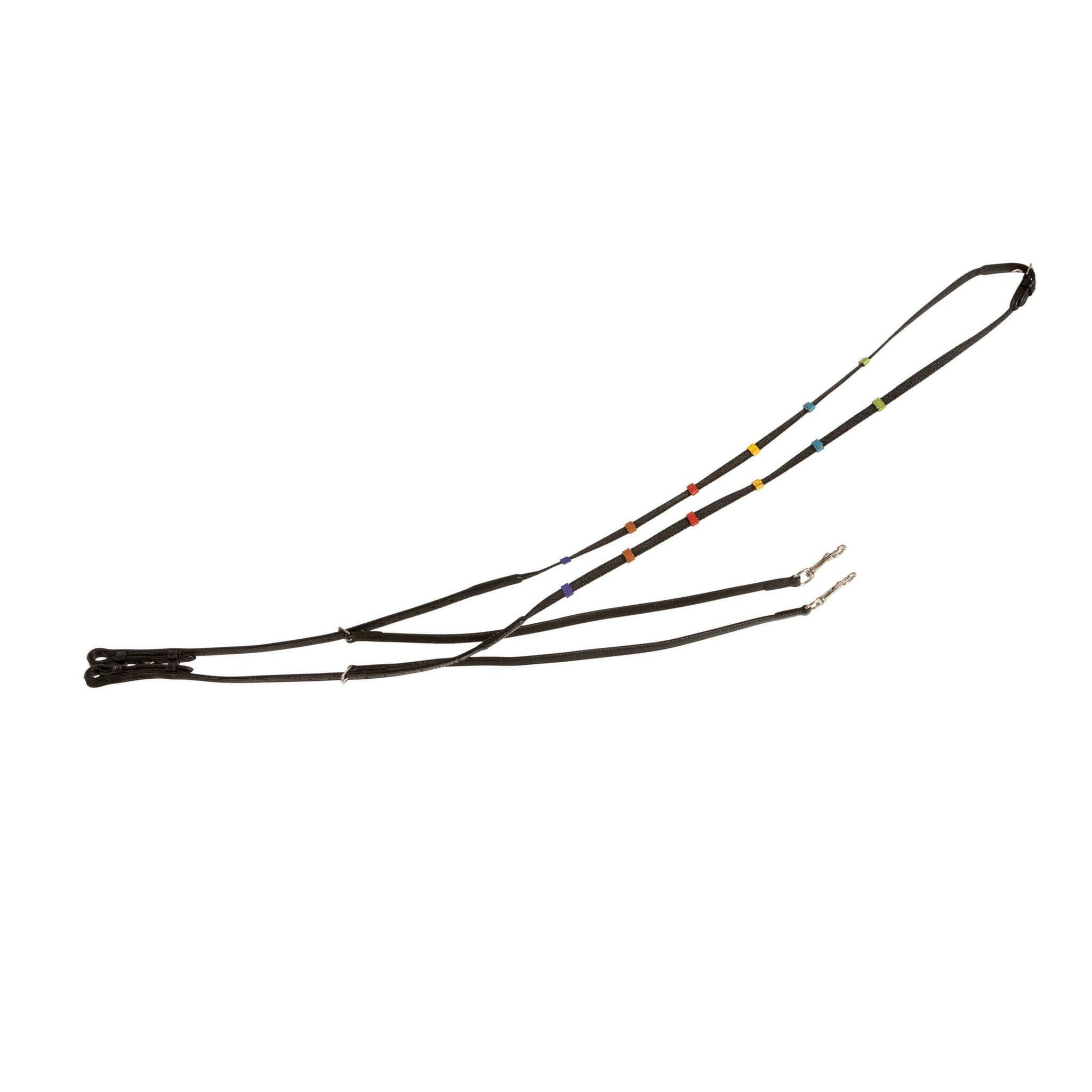 Mollytygel, shetland-ponny, Lippo