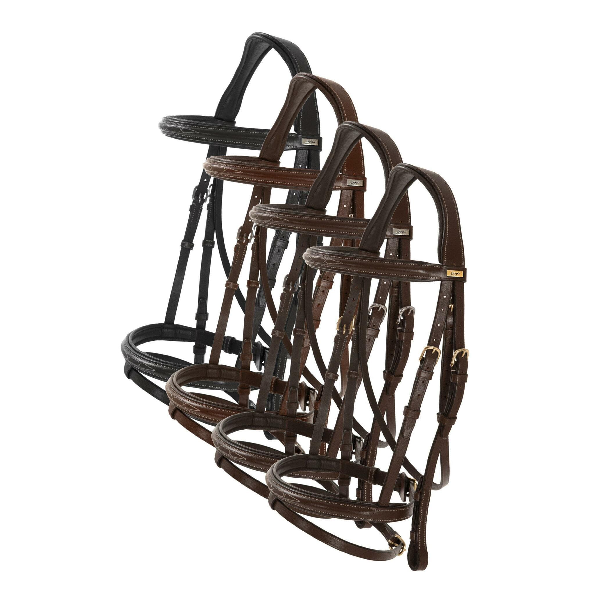 Aachenträns, ponny-xfull, Lippo Selected Fancy Slim