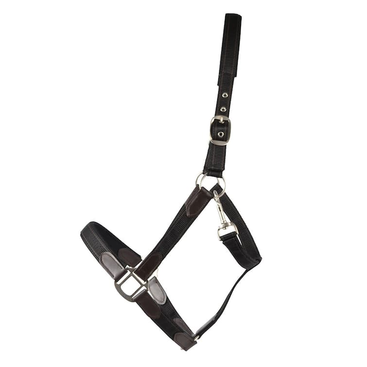 Nylongrimma, ponny-full, HS Edit