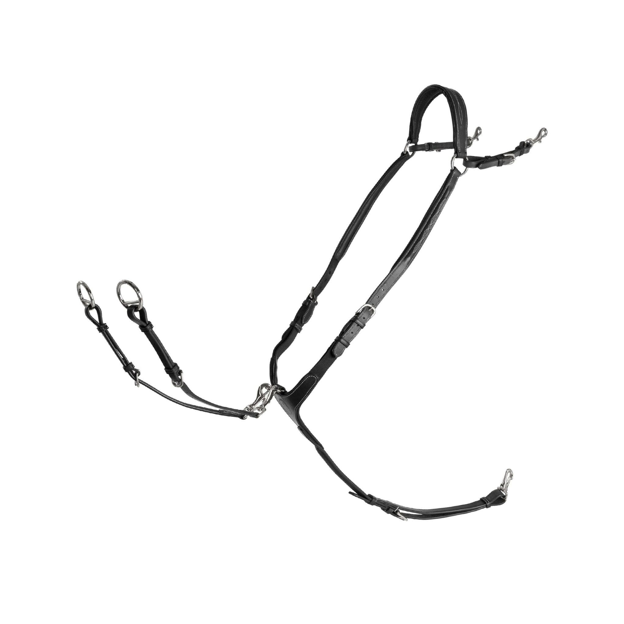 Förbygel, ponny-full, Lippo Fazzino