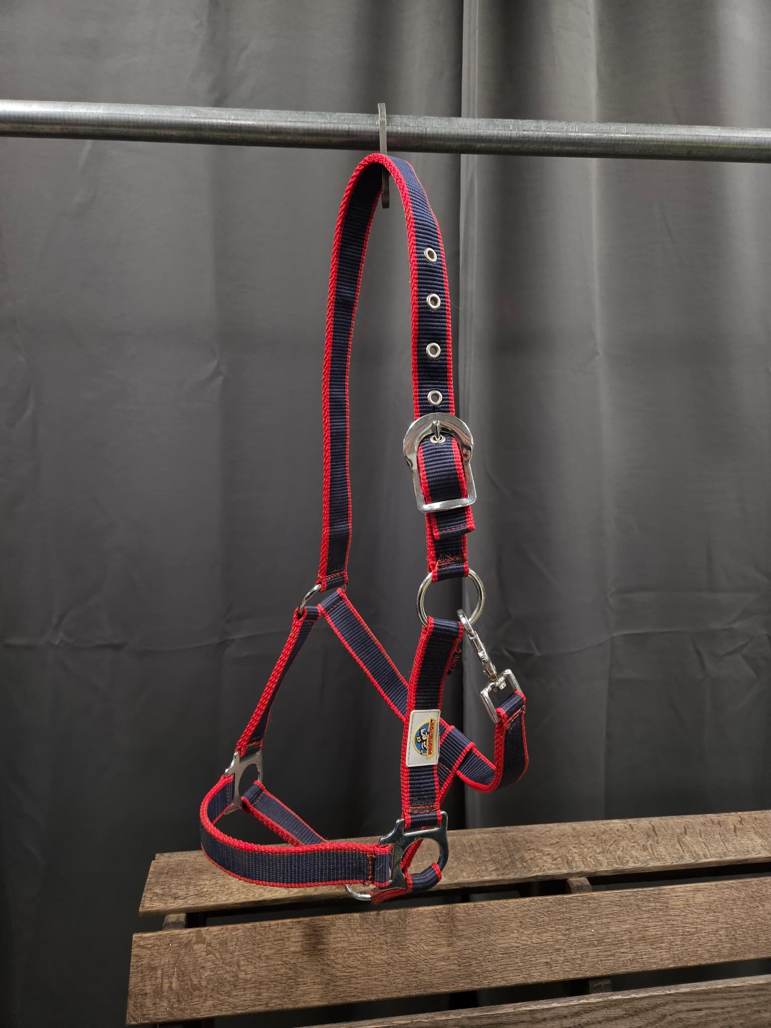 Nylongrimma, ponny, Protector