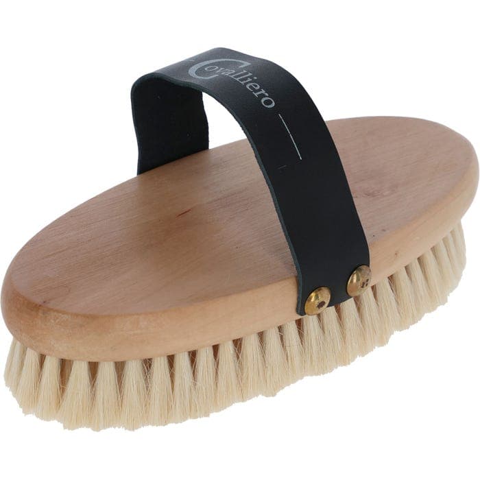 Ryktborste, Covalliero